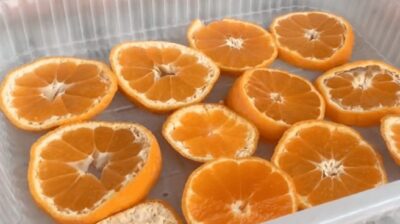 Mikrodalgaya Giren Mandalina