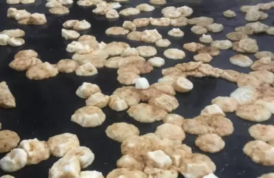 Mikrodalgadan Çıkan Kaşar Peyniri