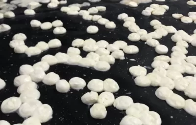 Mikrodalgaya Giren Kaşar Peyniri