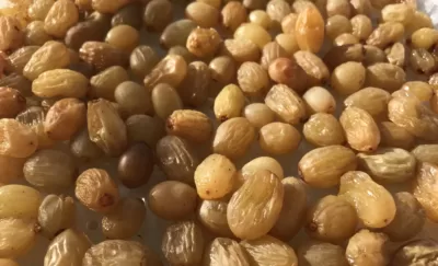 Mikrodalgadan Çıkan Üzüm